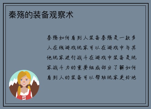 秦殇的装备观察术